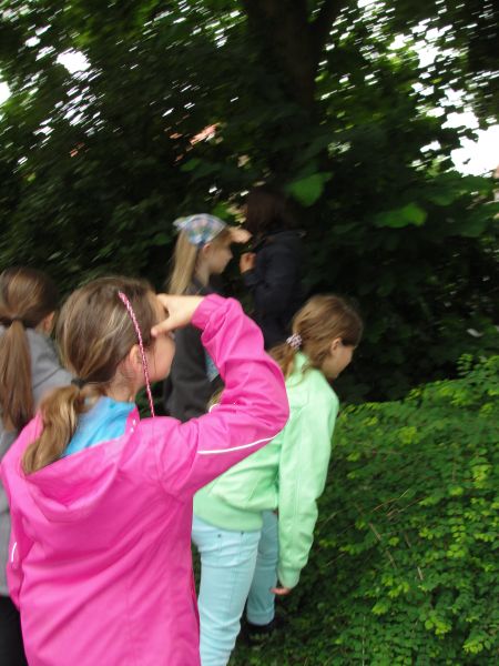 06 a.jpg